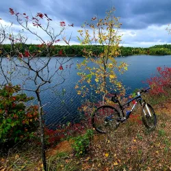 Cuyuna Country State Recreation Area - Brainerd