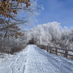 Cuyuna Country State Recreation Area - Brainerd
