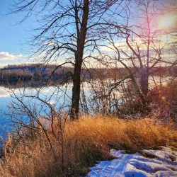 Cuyuna Country State Recreation Area - Brainerd