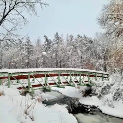 Northland Arboretum - Brainerd