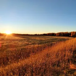 Paul Bunyan State Trail - Brainerd