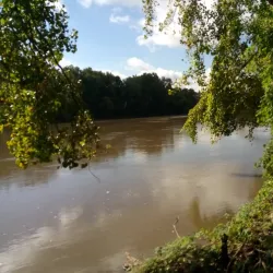 Black Dog Preserve - Burnsville