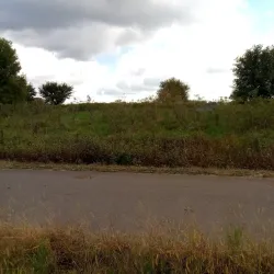 Black Dog Preserve - Burnsville