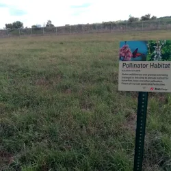 Black Dog Preserve - Burnsville