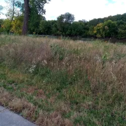 Black Dog Preserve - Burnsville