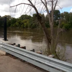 Black Dog Preserve - Burnsville