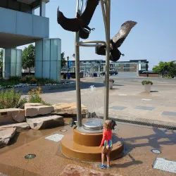 Nicollet Commons Park - Burnsville