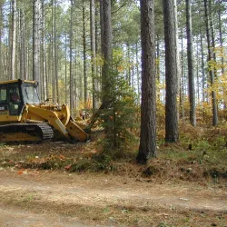 Cloquet Forestry Center - Cloquet