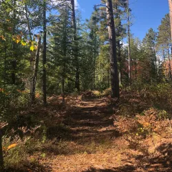 Cloquet Forestry Center - Cloquet