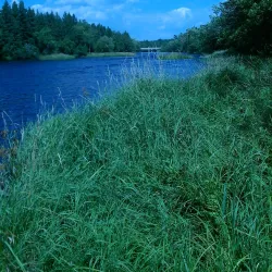 Cloquet Riverwalk - Cloquet