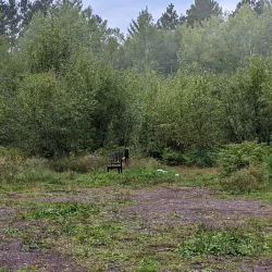Cloquet Valley State Forest - Cloquet