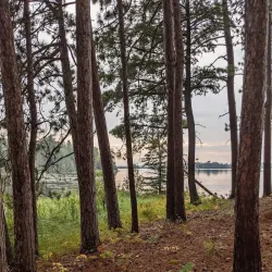 Cloquet Valley State Forest - Cloquet