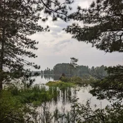 Cloquet Valley State Forest - Cloquet