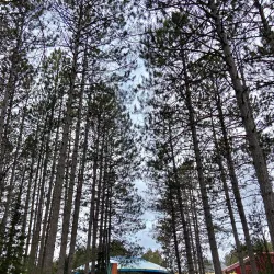 Fond du Lac Tribal and Community College - Cloquet