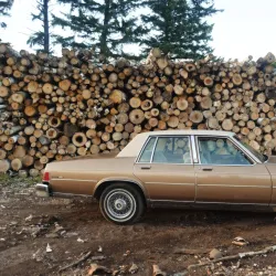 St. Louis River - Cloquet