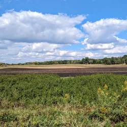 Bunker Hills Regional Park - Coon Rapids