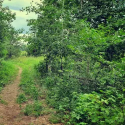 Bunker Hills Regional Park - Coon Rapids