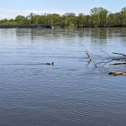 Coon Rapids Dam Regional Park - Coon Rapids