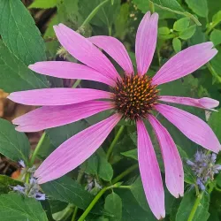 Coon Rapids Dam Visitor Center - Coon Rapids