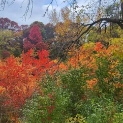 Coon Rapids Dam Visitor Center - Coon Rapids