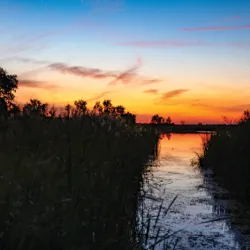 Agassiz National Wildlife Refuge - Crookston