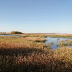 Agassiz National Wildlife Refuge - Crookston