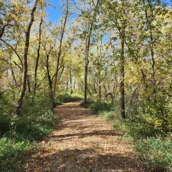 Agassiz National Wildlife Refuge - Crookston