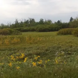 Agassiz National Wildlife Refuge - Crookston