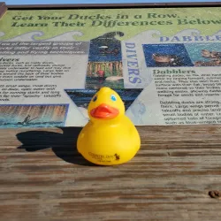 Agassiz National Wildlife Refuge - Crookston