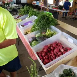 Crookston Farmers Market - Crookston