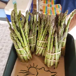 Crookston Farmers Market - Crookston