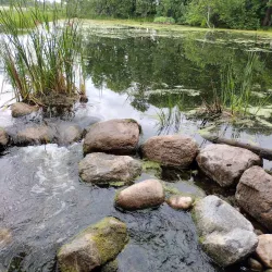 Detroit Lake - Detroit Lakes