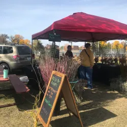 Detroit Lakes Farmers Market - Detroit Lakes