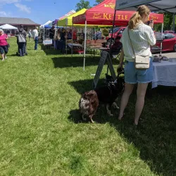 Detroit Lakes Farmers Market - Detroit Lakes