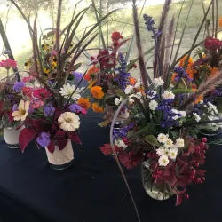 Detroit Lakes Farmers Market - Detroit Lakes