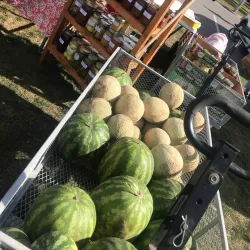 Detroit Lakes Farmers Market - Detroit Lakes