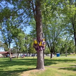 Detroit Lakes Regional Park - Detroit Lakes