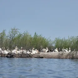 Pelican Rapids Wildlife Management Area - Detroit Lakes