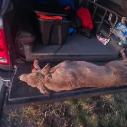 Pelican Rapids Wildlife Management Area - Detroit Lakes