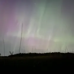 Pelican Rapids Wildlife Management Area - Detroit Lakes