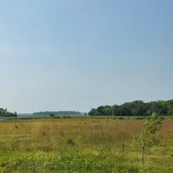 Pelican Rapids Wildlife Management Area - Detroit Lakes