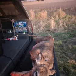 Pelican Rapids Wildlife Management Area - Detroit Lakes