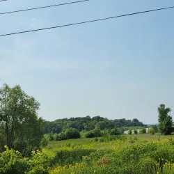 Pelican Rapids Wildlife Management Area - Detroit Lakes