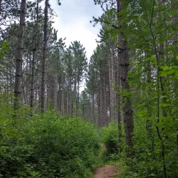 Hartley Nature Center - Duluth