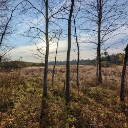 Hartley Nature Center - Duluth