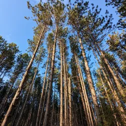 Hartley Nature Center - Duluth
