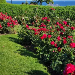 Leif Erikson Park - Duluth