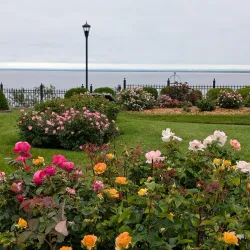 Leif Erikson Park - Duluth