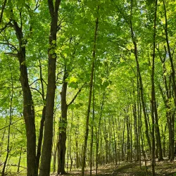 Baker Park Reserve - Eden Prairie