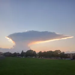 Central Park - Eden Prairie